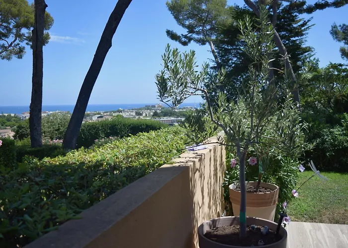 Vue Rez-de-jardin Piscine *